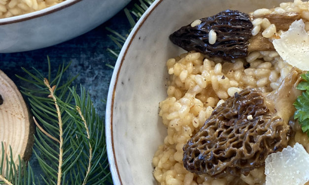 Risotto aux morilles