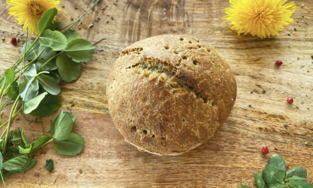 Petit pain à la farine de Lentille verte du Puy A.O.P