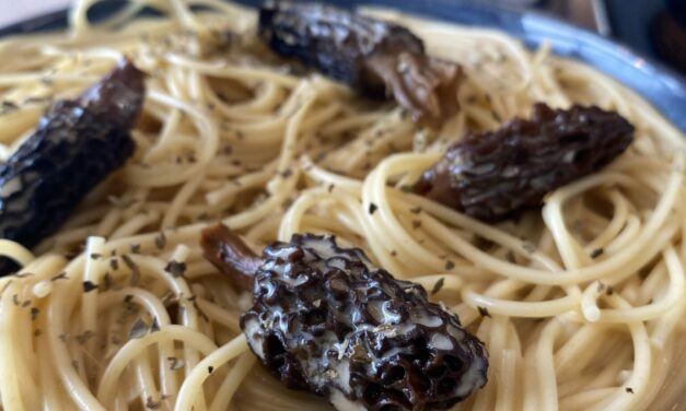 Spaghettis et crème de morilles