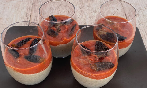 Panna cotta aux morilles et parmesan