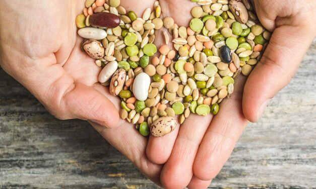 How to store legumes and cereals?