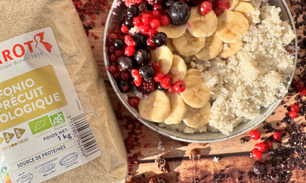 Porridge de fonio au lait végétal et fruits rouges