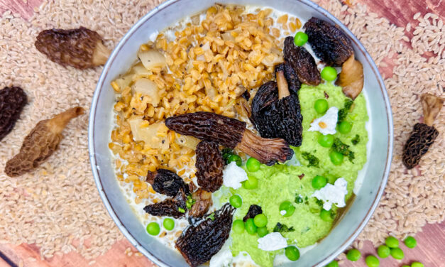 Risotto de Petit Épeautre du Velay, morilles, crème de petits pois, ricotta