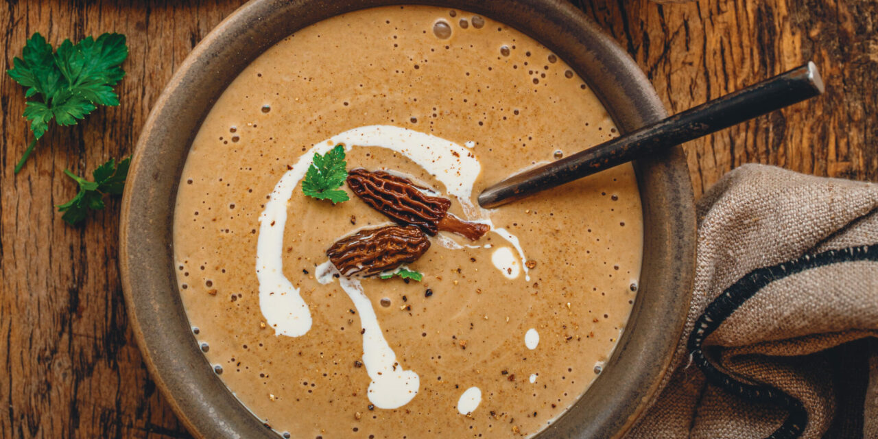 Velouté aux morilles