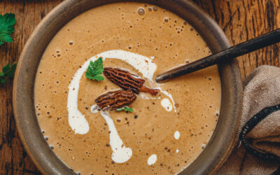 Velouté aux morilles