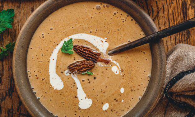 Velouté aux morilles