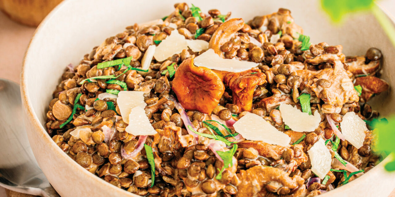 Risotto de Lentille verte du Puy A.O.P. aux girolles