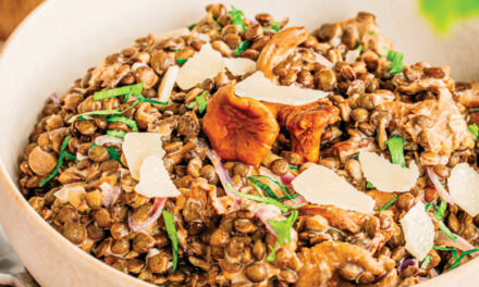 Risotto de Lentille verte du Puy A.O.P. aux girolles