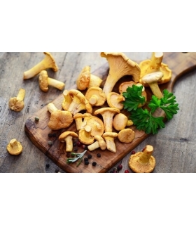 Champignons
