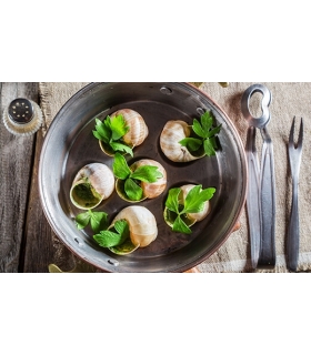 Escargots